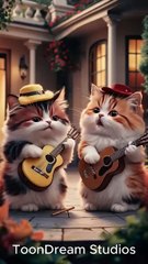 The Cutest Cat Duo Performing a Musical Serenade