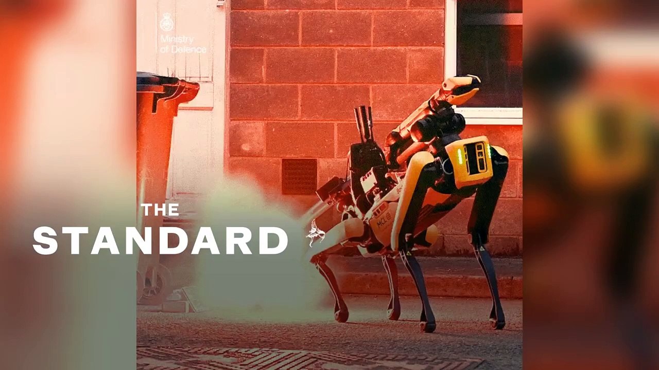 Meet the bomb disposal robot dog who will save British soldiers' lives