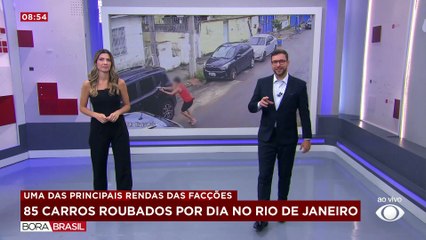 Árvore plantada há 40 anos no teatro Oficina cai durante tempestade em SP