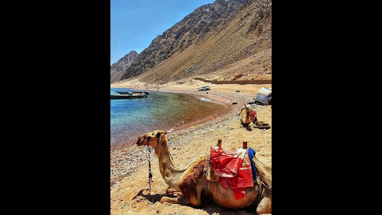 Discover Egypt Tour Packages with ETB Tours Egypt