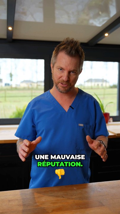 Les chien catégorisés