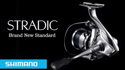 Top 5 BEST Spinning Reels of  (2025)