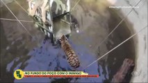 Tigre e javali caem em poço e são resgatados por indianos | Melhor da Noite