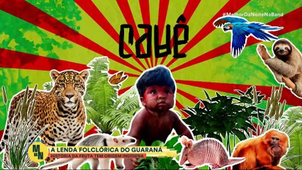 Guaraná: veja como é o cultivo do tesouro da Amazônia | Melhor da Noite