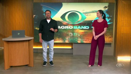 Produção de limão no Brasil ganha destaque no mercado internacional