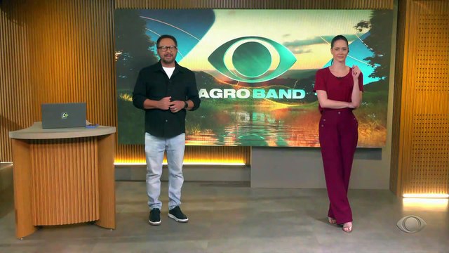 Galos gigantes podem valer (muito) mais de R$ 2 mil