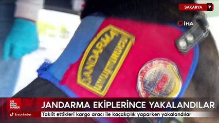 Sakarya'da taklit ettikleri kargo aracı ile kaçakçılık yaparken yakalandılar
