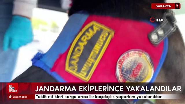 Sakarya'da taklit ettikleri kargo aracı ile kaçakçılık yaparken yakalandılar