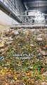 Que deviennent les déchets alimentaires qu’on met dans les nouveaux bacs de tri installés un peu partout en France ?
