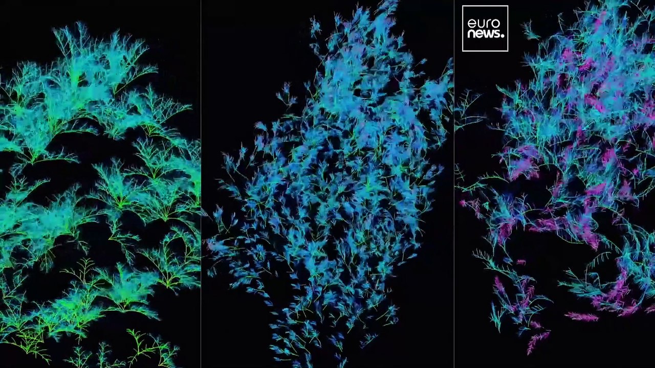 Italian artist Quayola brings new life to Gaudí's Casa Batlló with 'Arborescent' light show