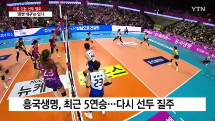 이유 있는 선두 질주...'몰빵 배구'는 없다! / YTN