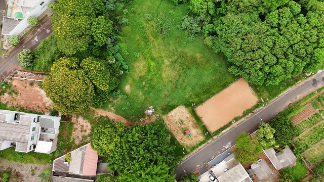 Onça em Umuarama: IAT intensifica buscas após nova aparição na região da Uopeccan