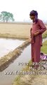 Ajj_meri_pani_di_sari_aa_🤣😂_#viral_#shorts_#trending_#trendingshorts_#viralshorts_