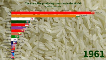 7 - The main Rice producing countries in the World