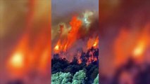 El fuego no para de avanzar en los Parques Nacionales