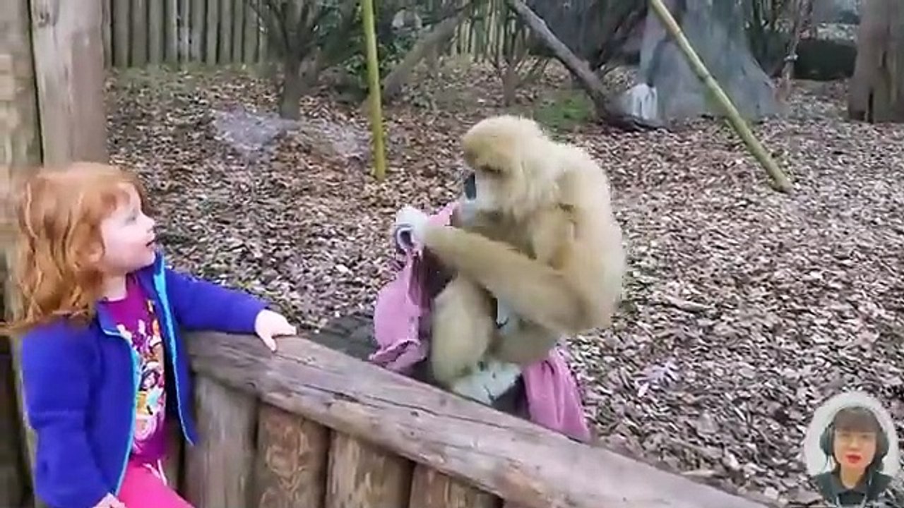 BABY_AND_ANIMAL_-_Crying_Babies_With_Animals_Moments_#2_-_Funny_Baby_Videos____Just_Funniest(360p)