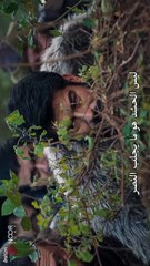 مسلسل المؤسس عثمان الحلقة 179 مترجم