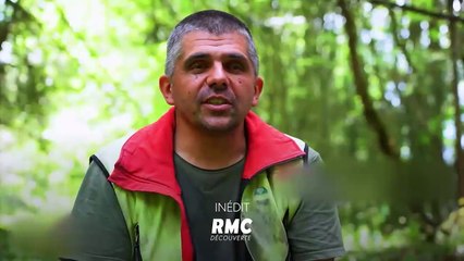 Bûcheron : un métier à hauts risques