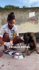 Les intiatives pour aider les animaux au Maghreb