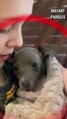 Ce chiot tremble à cause du bain puis est réconforté par ce petit garçon