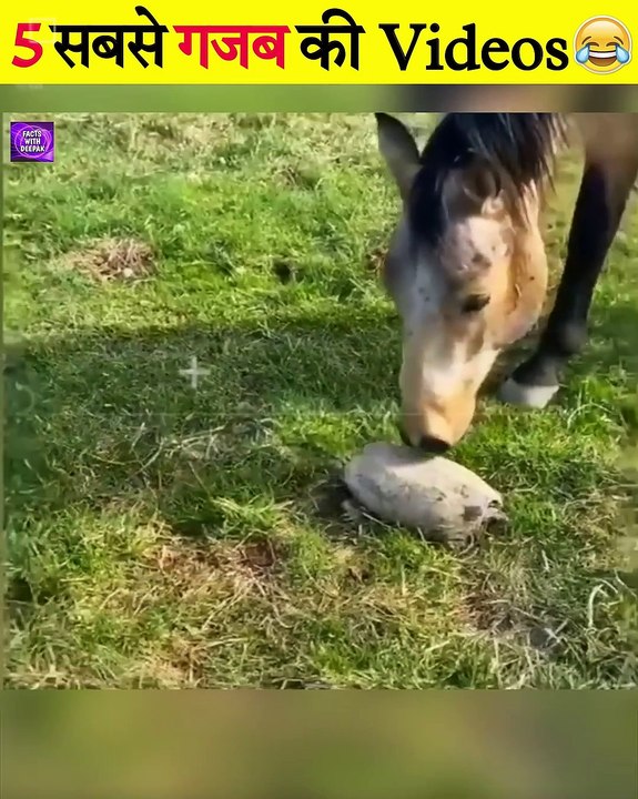 Funny🤣🤣 video