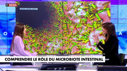 Comprendre le rôle du microbiote intestinal : Bonjour Dr Milhau (Émission du 08/02/2025)