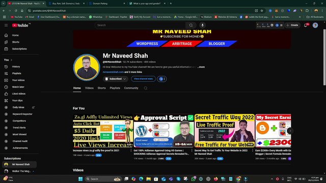 domains parking work - passive earning method