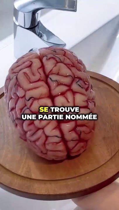 FAUT-IL REVEILLER UN SOMNAMBULE ?