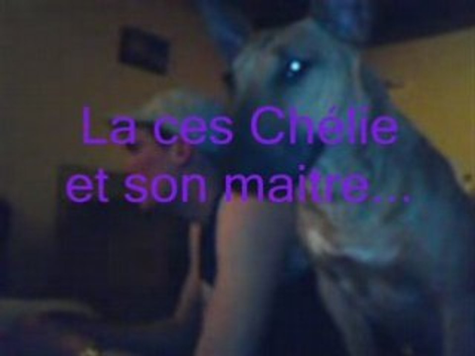 Les bubulle