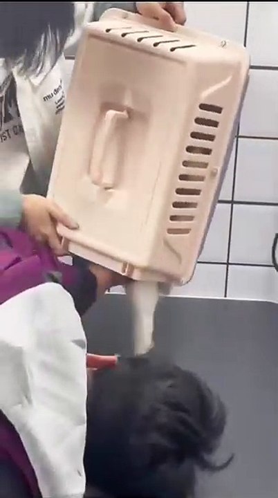 Welpen spielen im Garten! 20250205