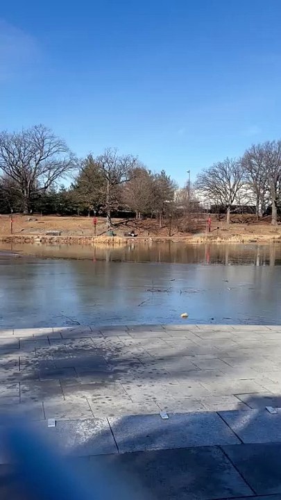 NYC park rangers save teens who fell through ice at Crotona Park