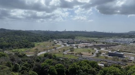 Panamá registra un "preocupante" aumento de la deforestación