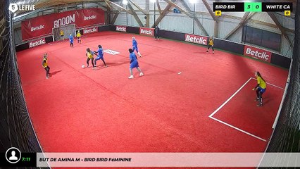 But de Amina M - Bird Bird Féminine