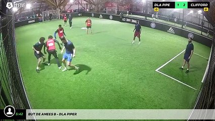 But de Anees B - Dla Piper