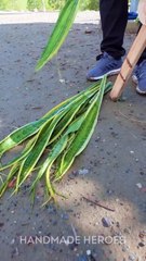 Zero Carbon Footprint SHOES You Can Make at Home!