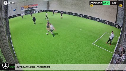 But de Arthur H - PADEKARDIO