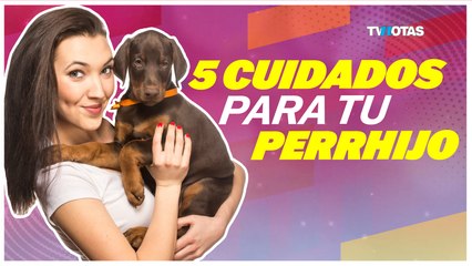 ¡Haz feliz a tu perrito con estos 5 tips esenciales! 🐶💖