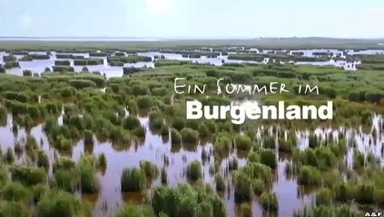 Ein Sommer in -14- Burgenland