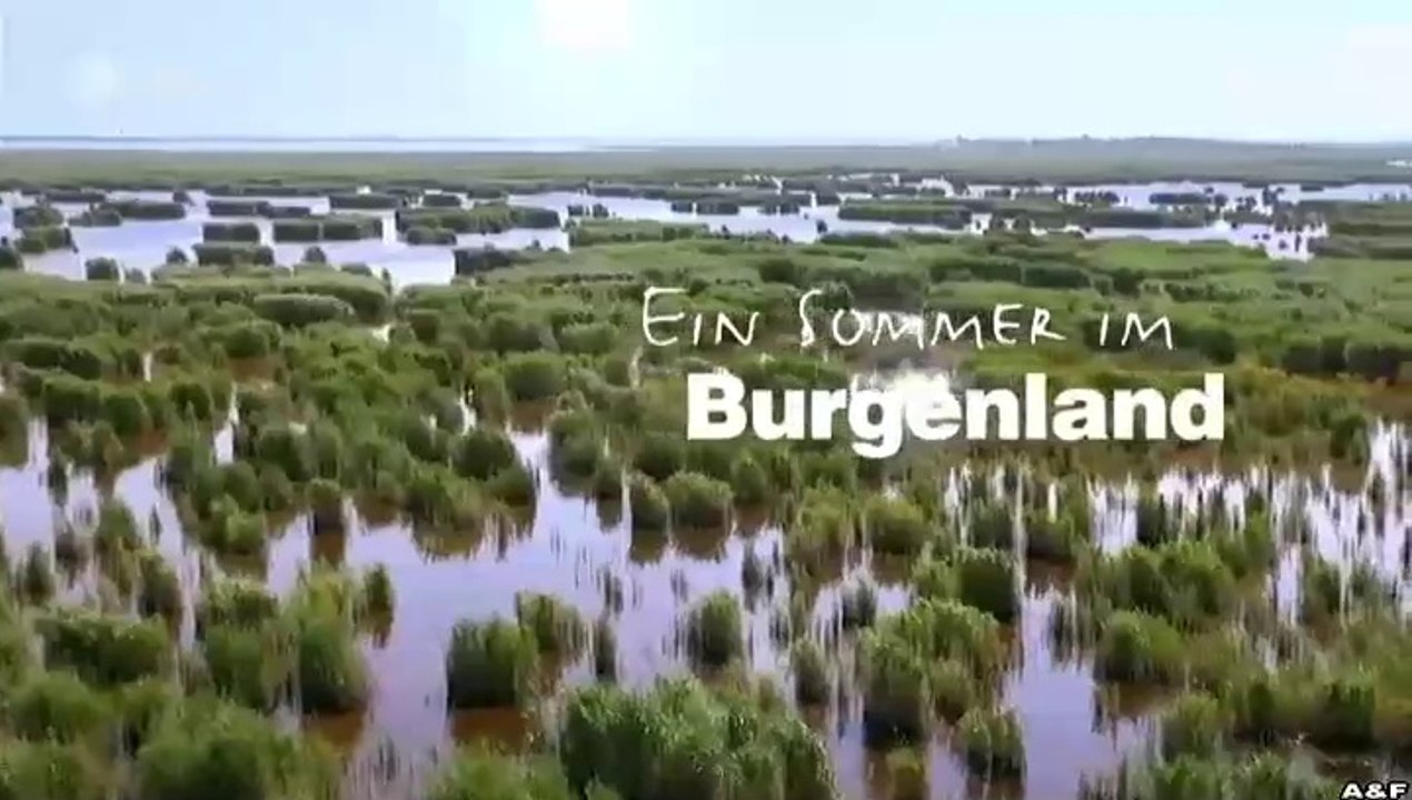 Ein Sommer in -14- Burgenland