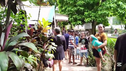 A Week in Our Lives: January 26 - February 1, 2025