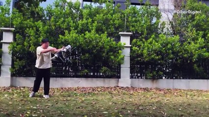 Cão-robô com rodas nos pés faz manobras na neve