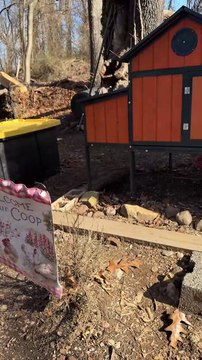 NYC firefighters cluck back at egg prices with backyard chicken coops