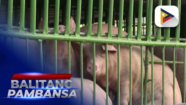 Pagtatakda ng maximum SRP sa baboy, pinag-aaralan na ng D.A.