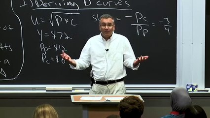 4. Demand Curves and Income_Substitution Effects