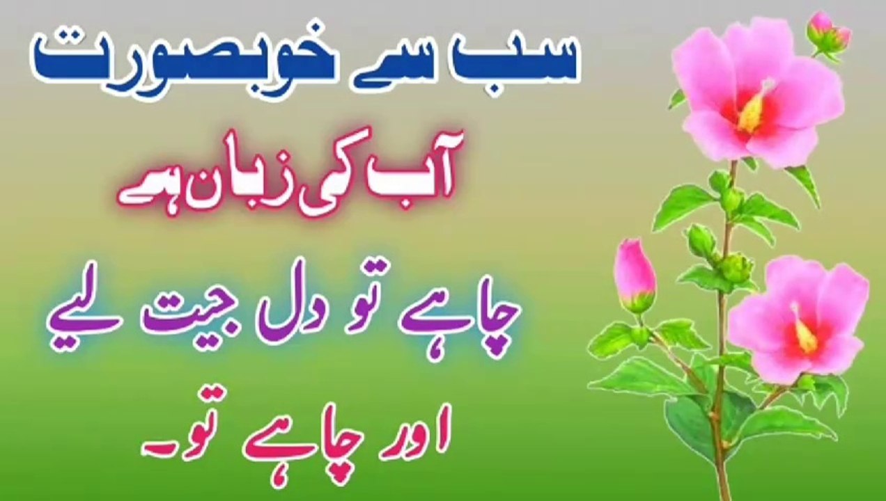 Khubsurat Zaban Hai💯! Islamic YouTube💥! Best Urdu quotes🔥! Urdu Islamic quotes🔥! ISLAMIC URDU MEWAT