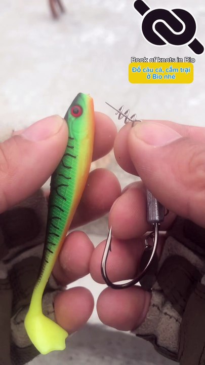 Best fishing bait tips newbie