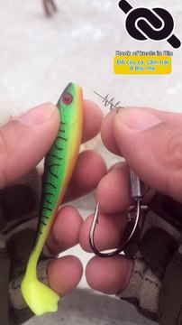 Best fishing bait tips newbie