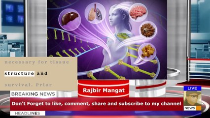 A novel biomaterial for regenerative medicine: Scientists develop acellular nanocomposite living hydrogels