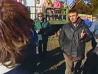 Rescuing Baby Whales