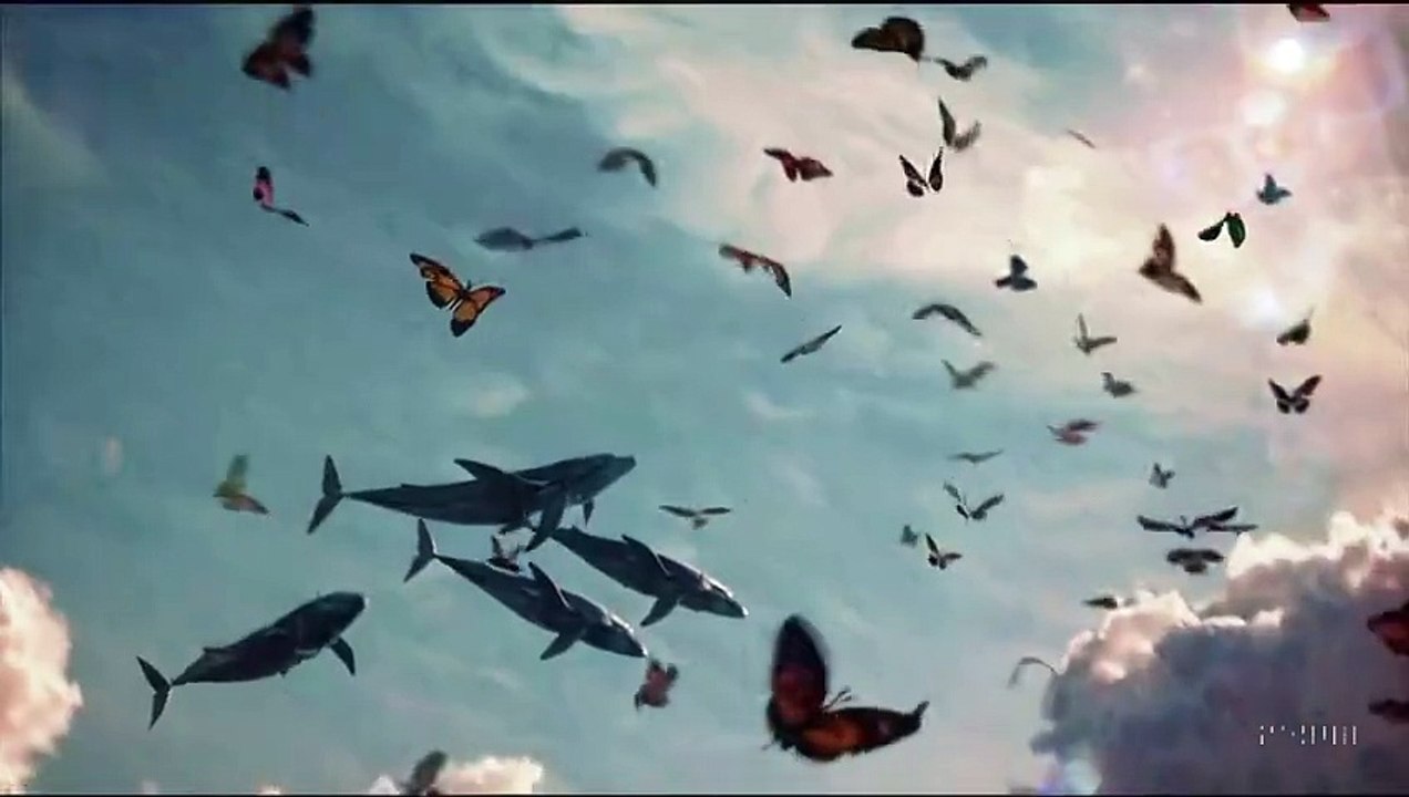 whales